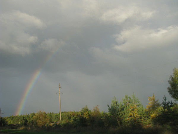 Анжелика Колтовски