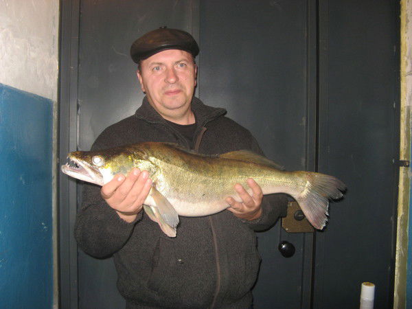 Евгений Горячев