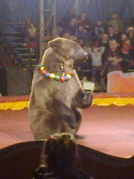 Женя Столбунов