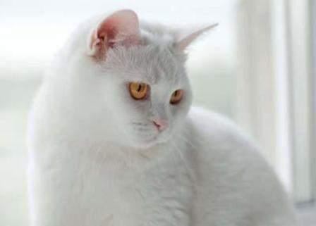 Галина Леонтьева