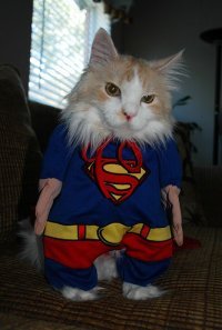 Мурзік Васильович