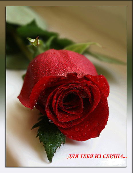 Алёна Мазурец