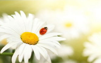 Наталья Кулюкина