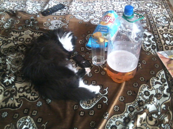 Оксана Аверьянова