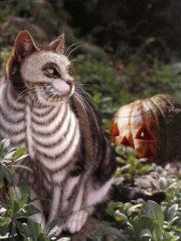 Александр Лис