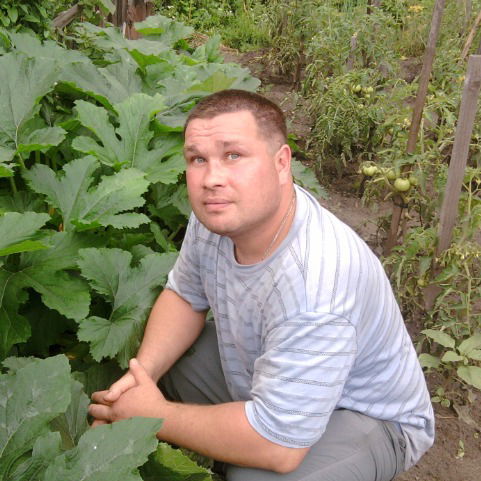 Дмитрий Пальчиков