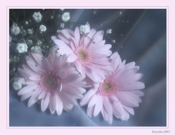 Любовь Семерикова