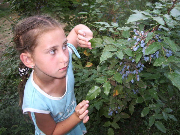 Карина Сушинская