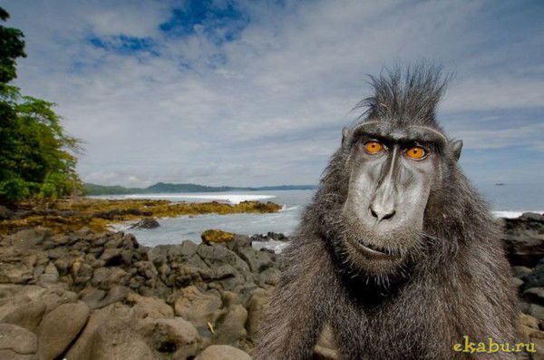 Дмитрий Гасин