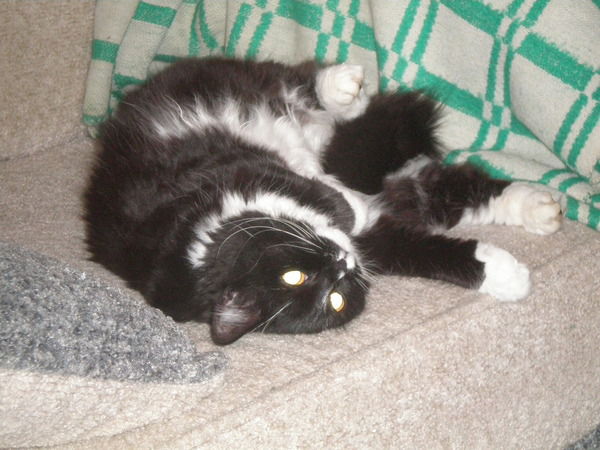 Ладислава Владимировна