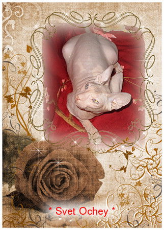 Елена Мелихова