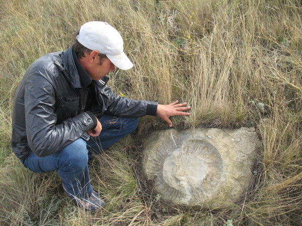 Андрей Демидов