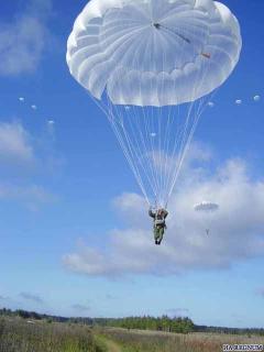 Александр Кучеренко