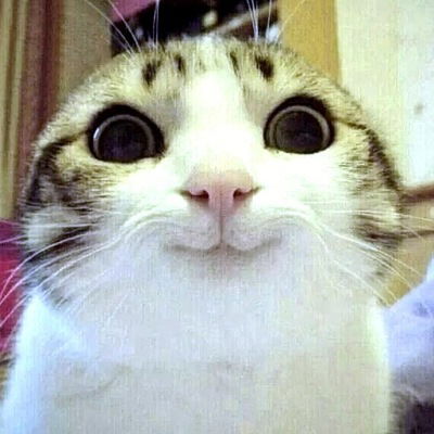 Рома Омельяненко