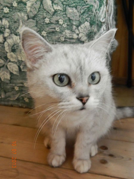 Татьяна Берёзкина