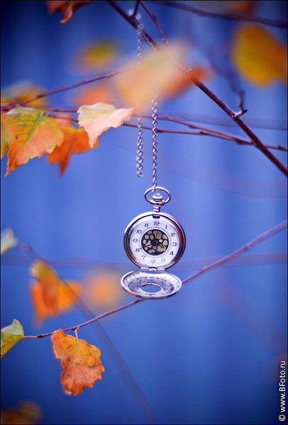 Кристина Попова