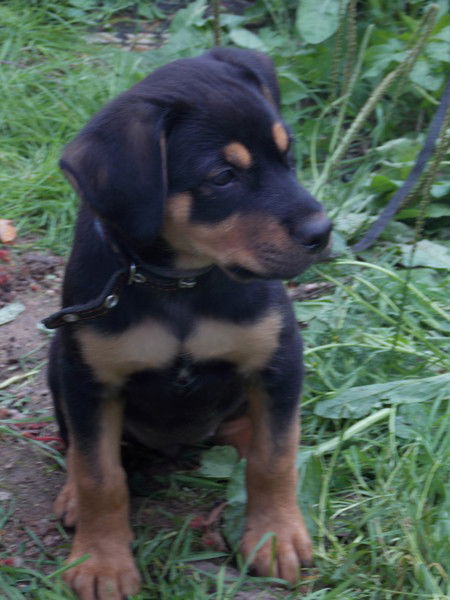 Евгений Филяров