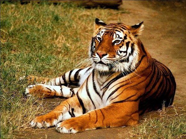 Борис Михайлович