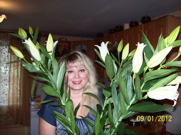 Ирина Холодова