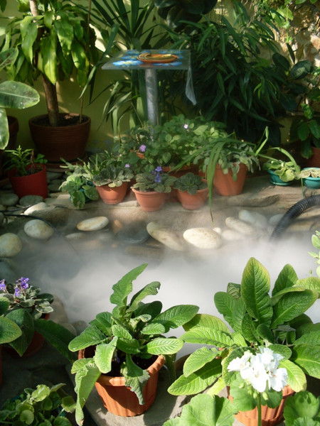 Елена Азарова