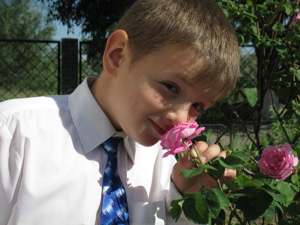 Алексей Верещага