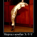 Сергей Каракай