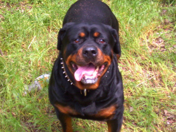 Сергей Коробейников