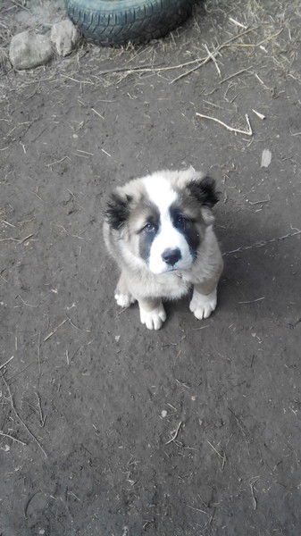 Карина Удальцова