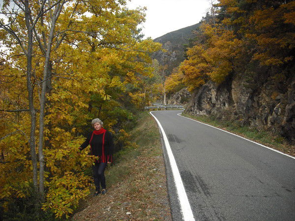 Ганна Гаркала