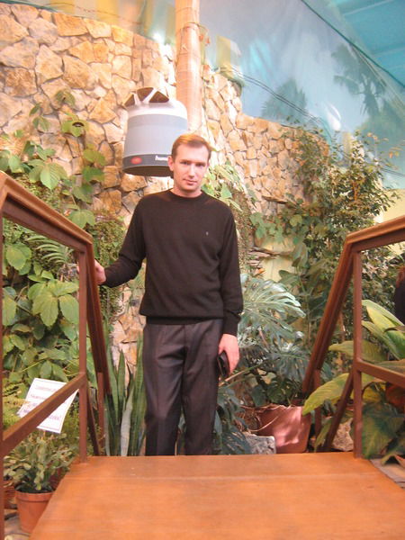 Владимир Киреев