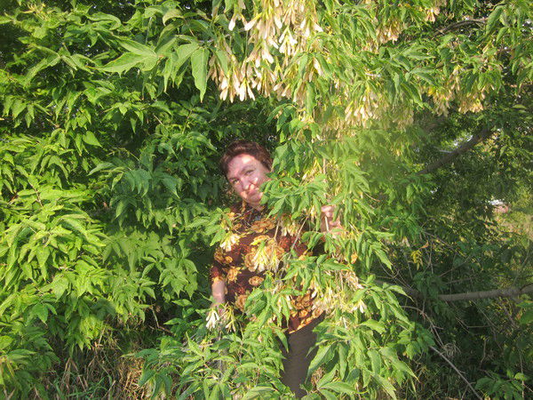 Надежда Бушуева