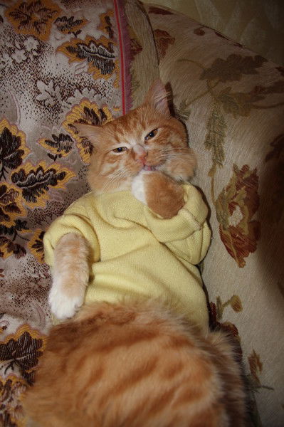 Геннадий Ч.г.п.