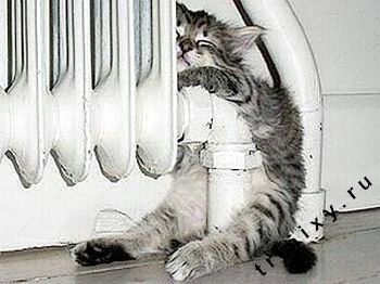 Ирина Герасева