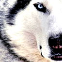 Dagli .............с*
