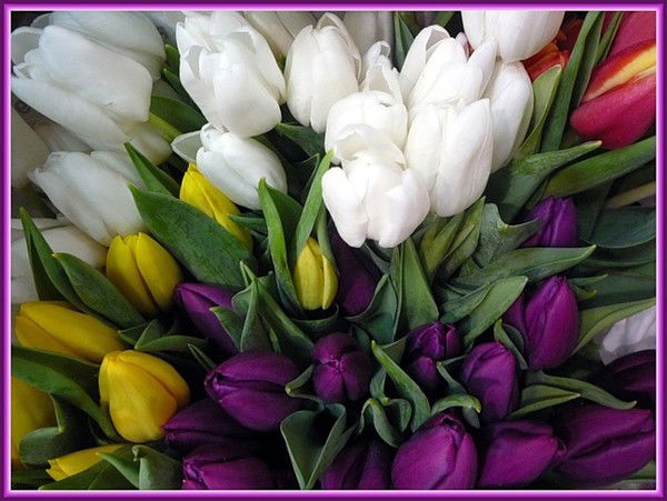 Специалист По Маркетингу