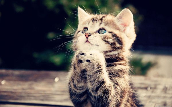 Мадина Сураганова