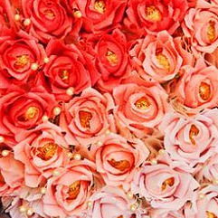 Маруся Климова