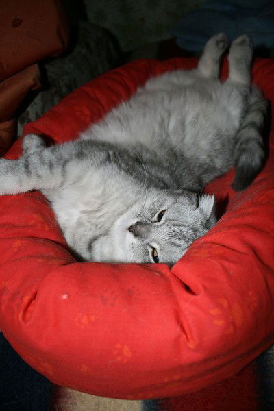 Аня Потапова