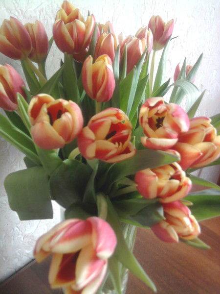 Оксана Фадина