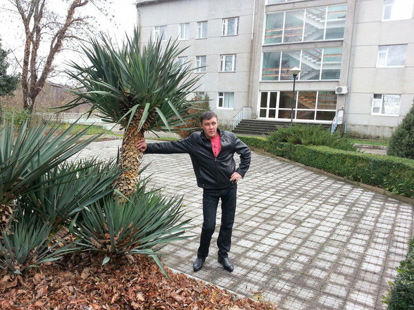 Вячеслав Тимошенко