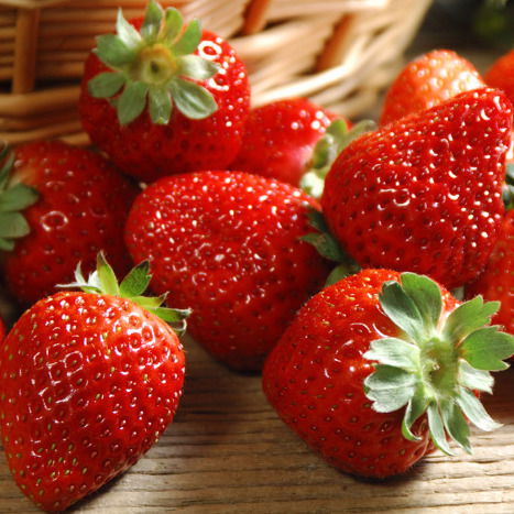 Екатерина Пучкова