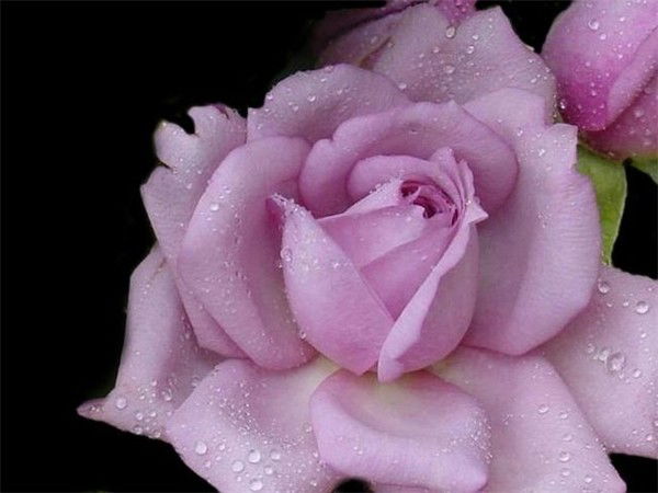 Нина Буханова