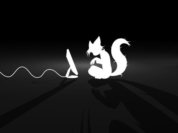 Максим Кашенков