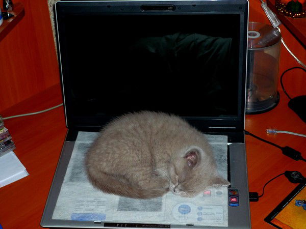 Андрей Безногов