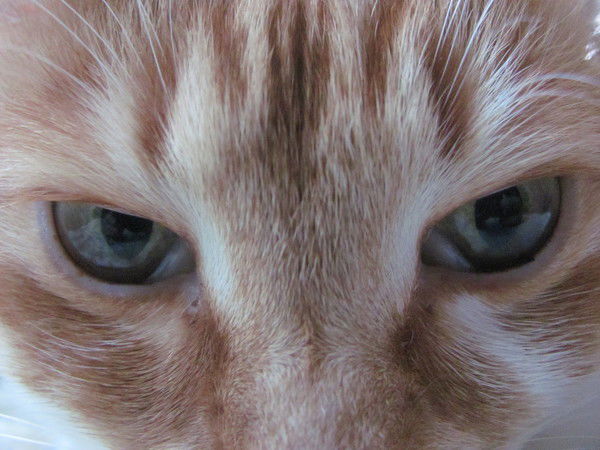 Андрей Кругляков