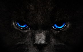 .константин .