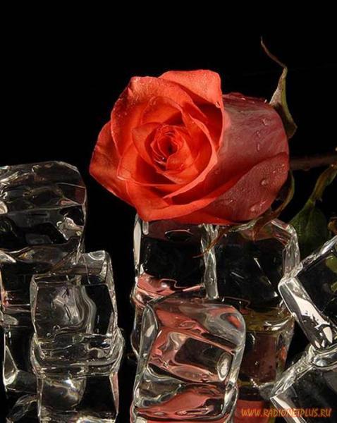 Все Будет Ок