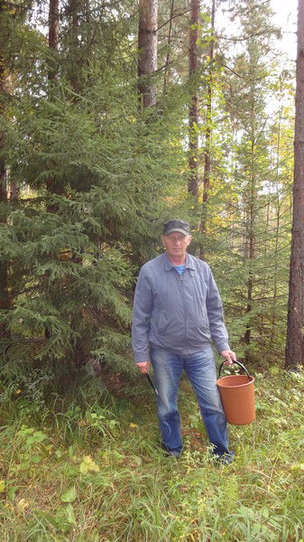 Александр Волгарев