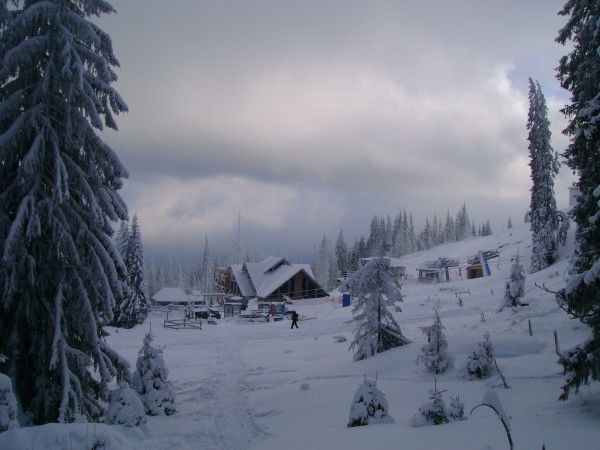 Виктор Наецкий