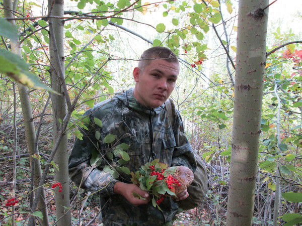 Кирилл Шапошников